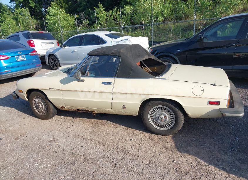 Photo 14 of 1981 Alfa Romeo VELOCE SPIDER (VIN ZARBA5414B1012645)