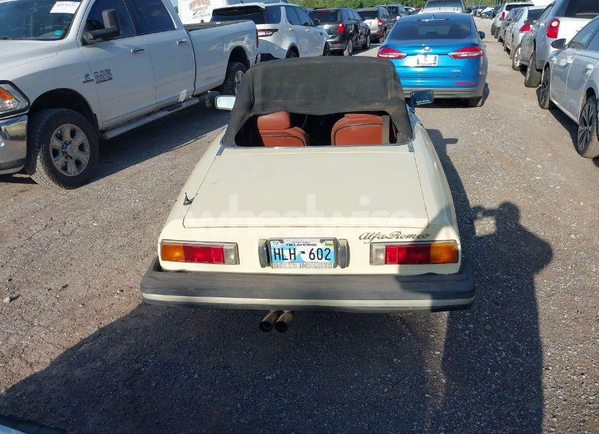 Photo 16 of 1981 Alfa Romeo VELOCE SPIDER (VIN ZARBA5414B1012645)