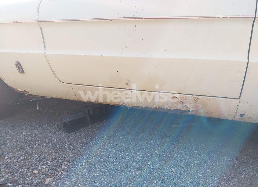 Photo 17 of 1981 Alfa Romeo VELOCE SPIDER (VIN ZARBA5414B1012645)