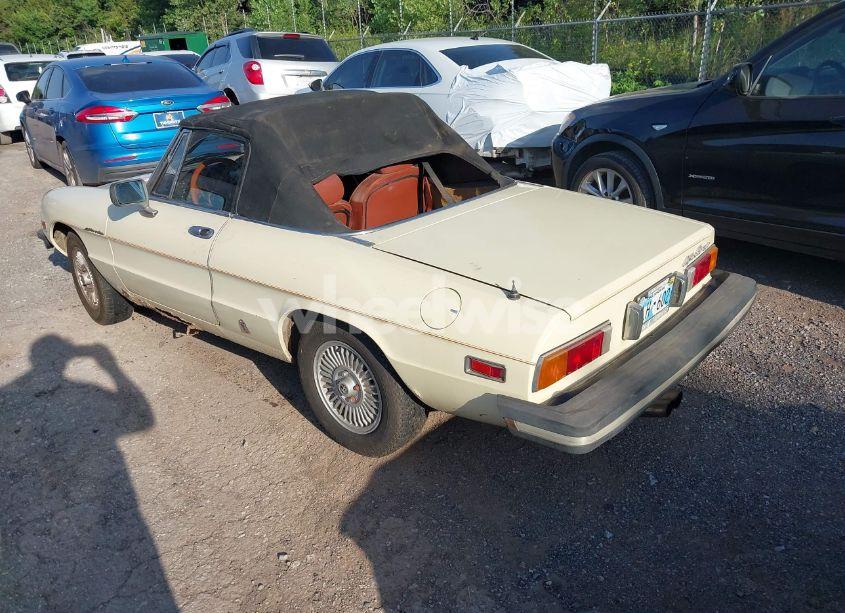 Photo 3 of 1981 Alfa Romeo VELOCE SPIDER (VIN ZARBA5414B1012645)