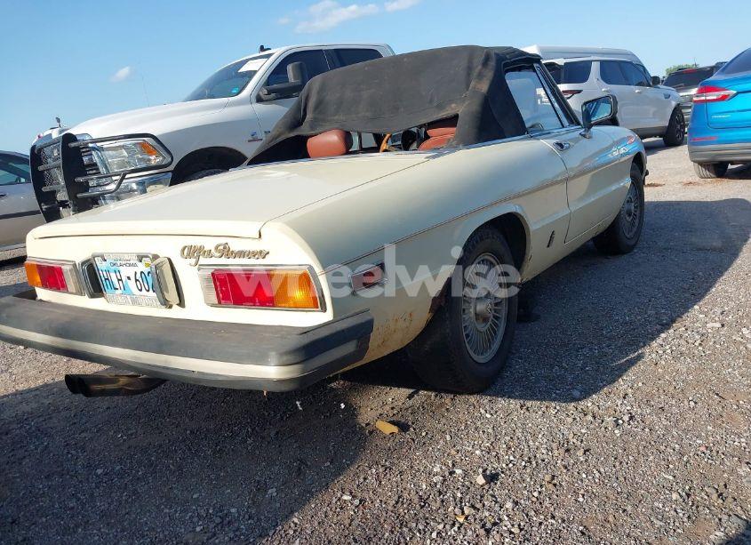 Photo 4 of 1981 Alfa Romeo VELOCE SPIDER (VIN ZARBA5414B1012645)
