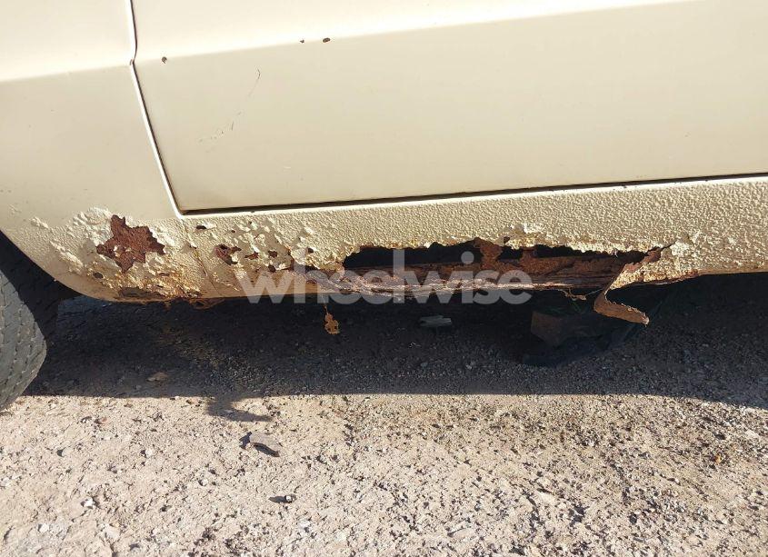 Photo 6 of 1981 Alfa Romeo VELOCE SPIDER (VIN ZARBA5414B1012645)