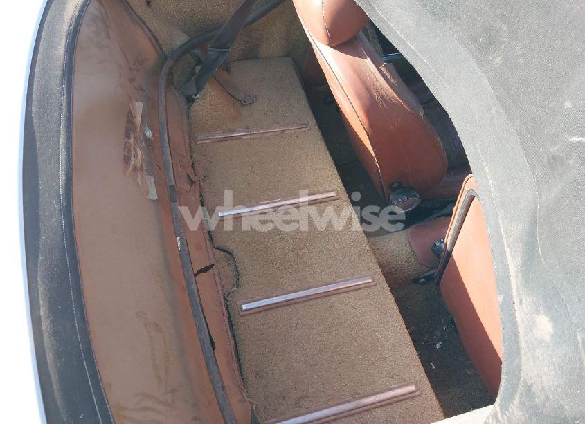 Photo 8 of 1981 Alfa Romeo VELOCE SPIDER (VIN ZARBA5414B1012645)