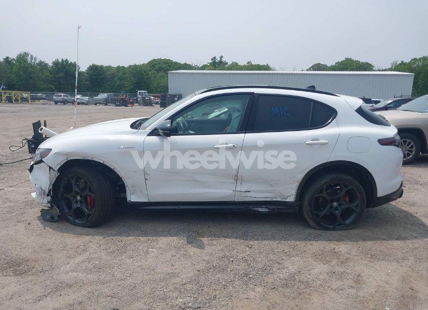 Photo 6 of 2024 Alfa Romeo STELVIO VELOCE AWD (VIN ZASPAKBN0R7D72661)