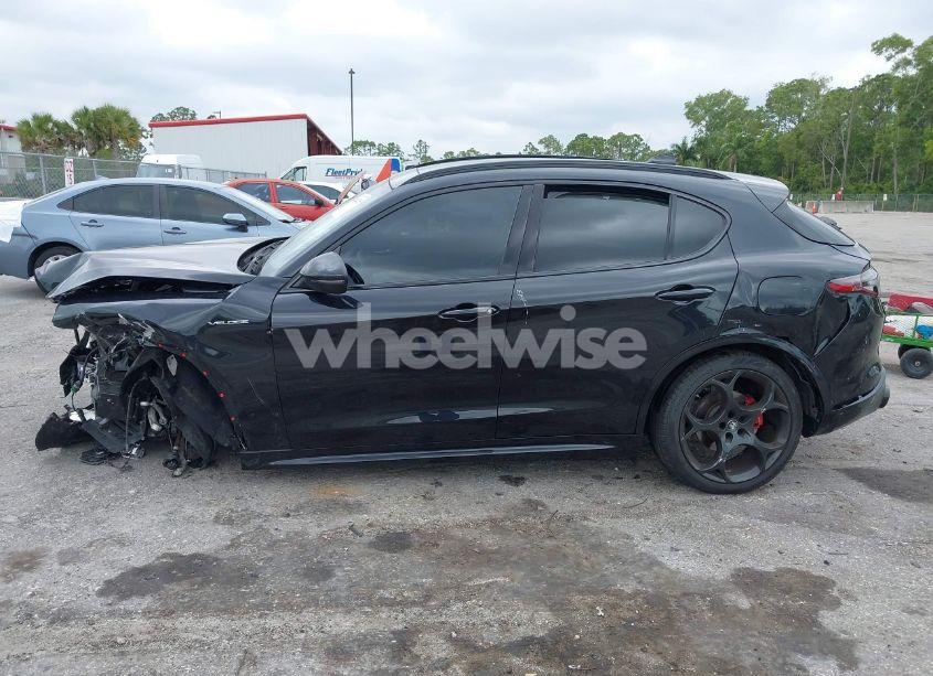 Photo 15 of 2024 Alfa Romeo STELVIO VELOCE AWD (VIN ZASPAKBN0R7D75947)