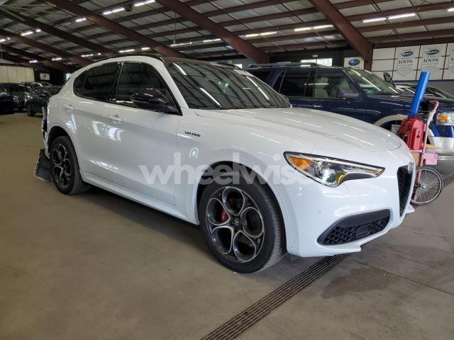 Photo 3 of 2022 ALFA ROMEO STELVIO TI (VIN ZASPAKBN1N7D37461)