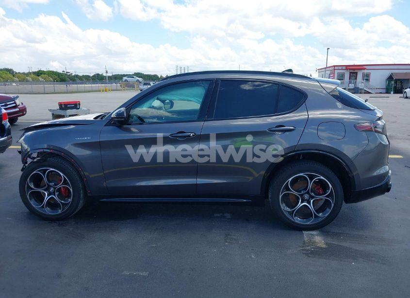 Photo 15 of 2024 Alfa Romeo STELVIO VELOCE AWD (VIN ZASPAKBN1R7D78095)