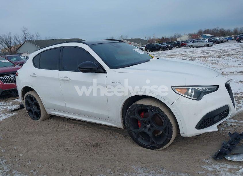 Photo 14 of 2022 Alfa Romeo STELVIO VELOCE TI AWD (VIN ZASPAKBN9N7D30435)