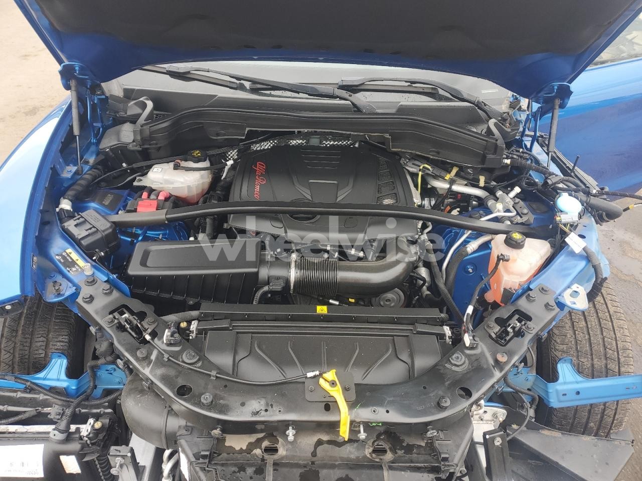 Photo 11 of 2022 ALFA ROMEO STELVIO TI (VIN ZASPAKBNXN7D31819)