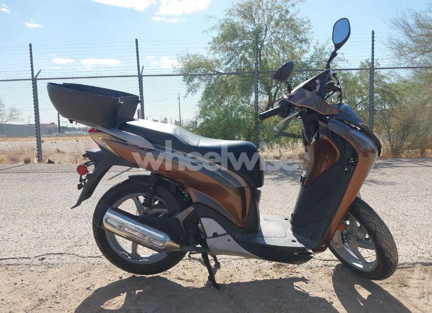Photo 12 of 2010 Honda Sh150 D (VIN ZDCKF1012AF002930)